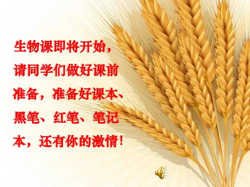 【新教材人教版化学】蛋白质PPT精美课件1