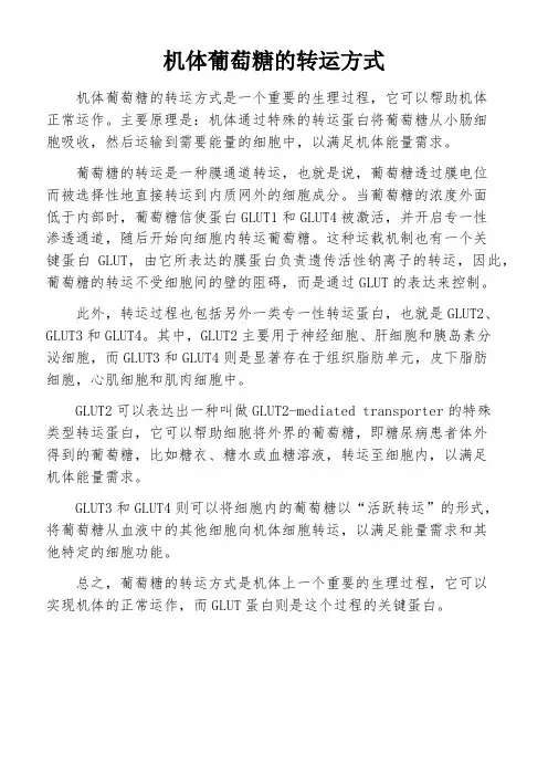 机体葡萄糖的转运方式