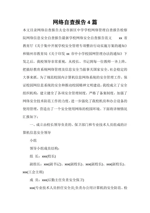 自查报告 网络自查报告4篇
