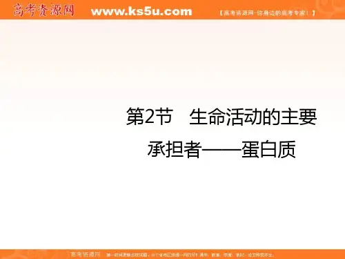 2018学年高中生物必修一2-2生命活动的主要承担者蛋白质课件 共30张