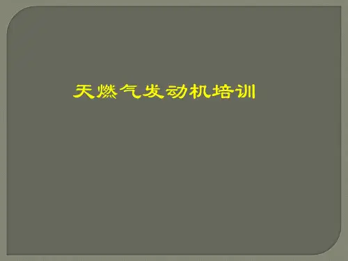 CNG发动机培训教材