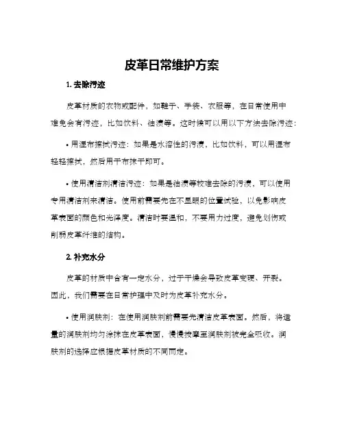 皮革日常维护方案