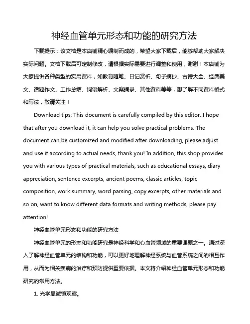 神经血管单元形态和功能的研究方法