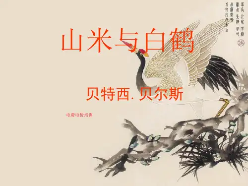 电费电价培训