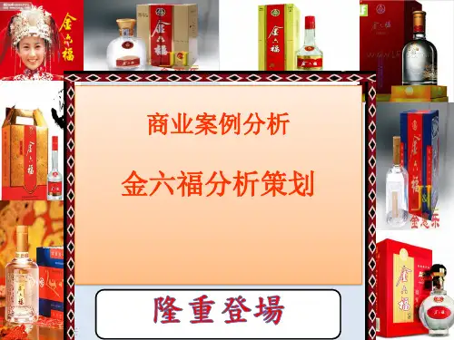 商业案例分析金六福