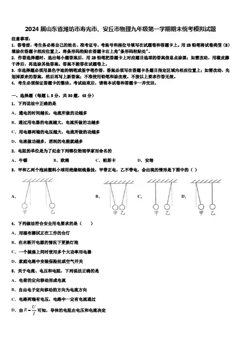 2024届山东省潍坊市寿光市、安丘市物理九年级第一学期期末统考模拟试题含解析