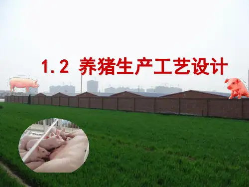 1.2 养猪生产工艺设计 课件《猪生产》同步教学(中国农业出版社)