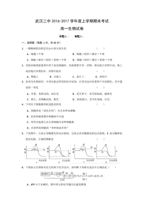 湖北省武汉市第二中学2016-2017学年高一上学期期末考试生物试题 Word版含答案