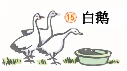 部编版语文四年级下期 15 《白鹅》课件