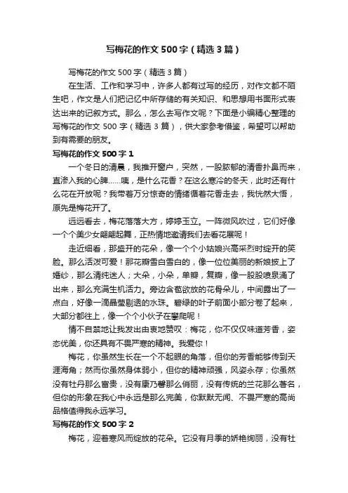 写梅花的作文500字（精选3篇）