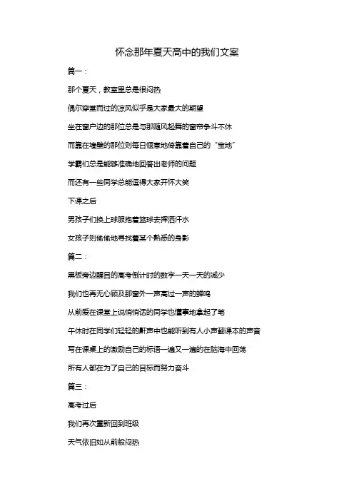 怀念那年夏天高中的我们文案