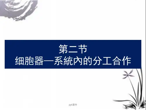 《细胞器——系统内的分工合作》  ppt课件