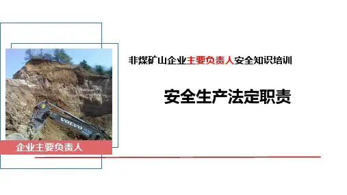 非煤矿山企业主要负责人：安全生产法定职责