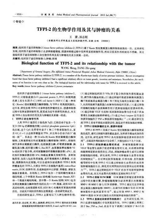 TFPI-2的生物学作用及其与肿瘤的关系