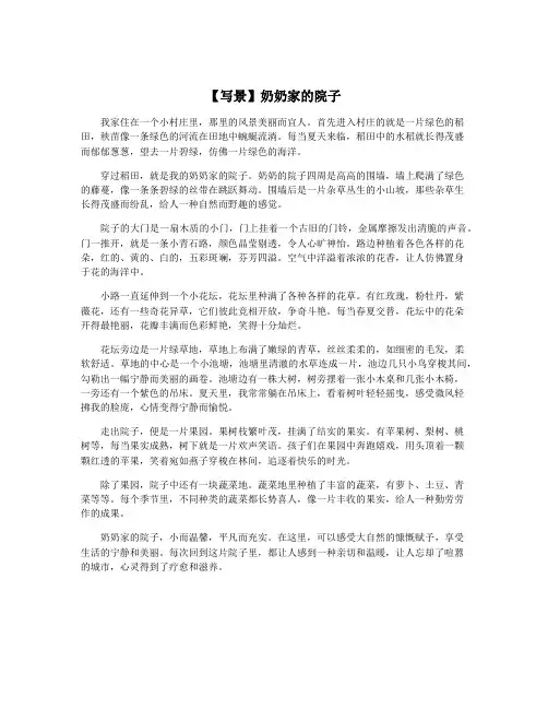 【写景】奶奶家的院子