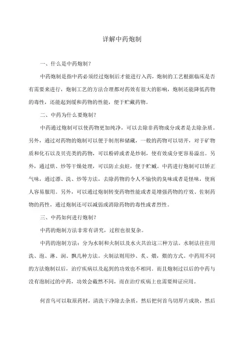 详解中药炮制(2024年)