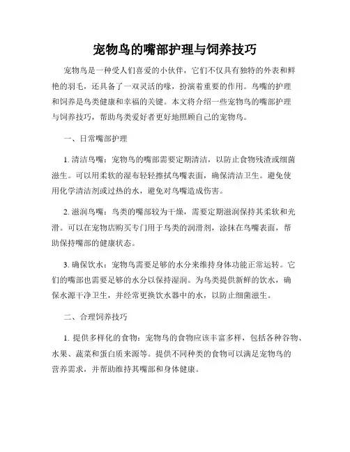 宠物鸟的嘴部护理与饲养技巧