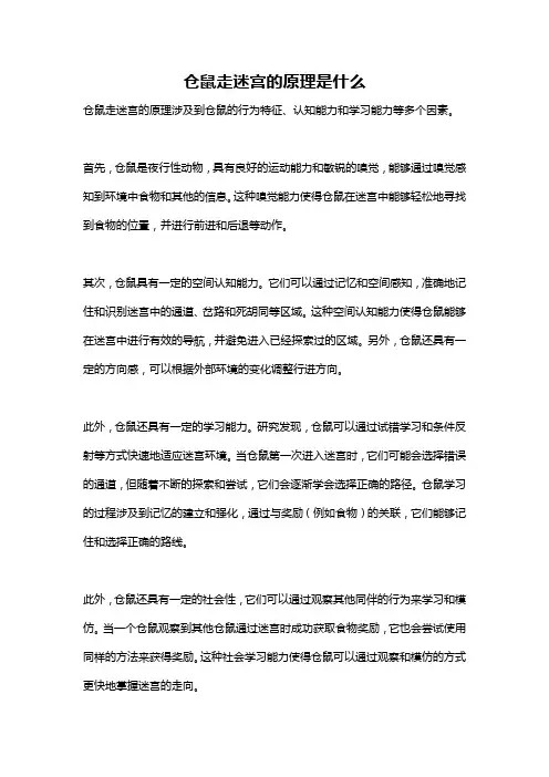 仓鼠走迷宫的原理是什么