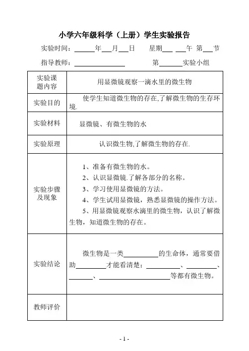 六上科学实验报告(作业)