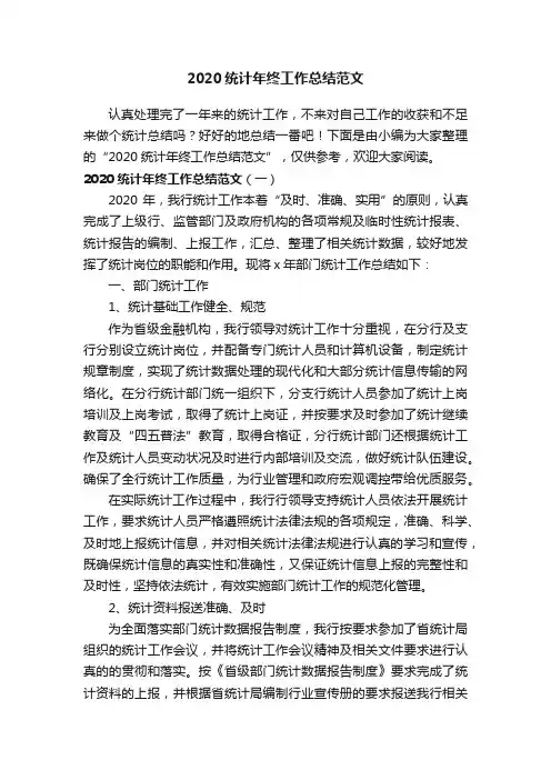 2020统计年终工作总结范文