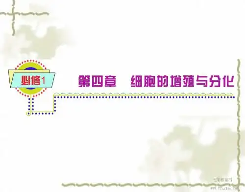 2013高考一轮生物复习课件：细胞的增殖(精)