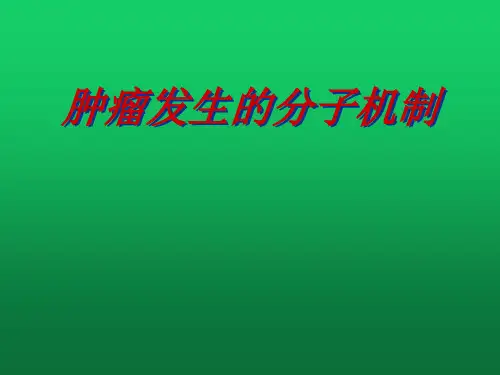 肿瘤发生的分子机制PPT课件