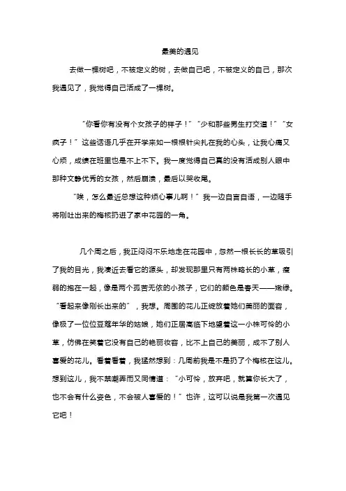 最美的遇见