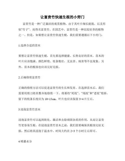 让富贵竹快速生根的小窍门