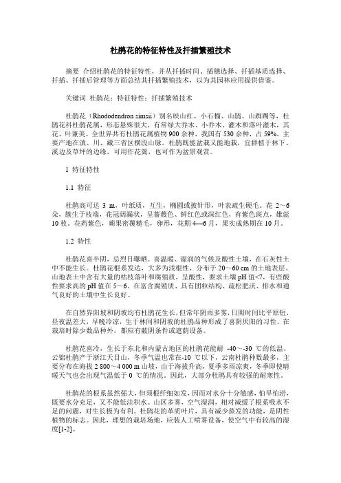 杜鹃花的特征特性及扦插繁殖技术