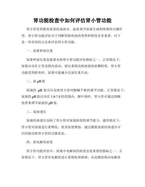 肾功能检查中如何评估肾小管功能