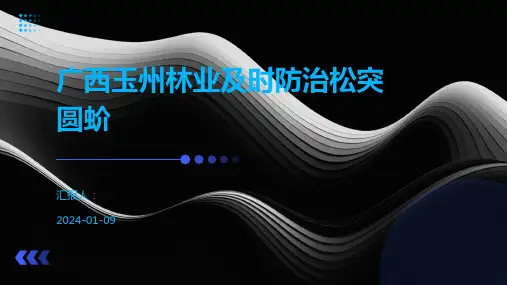 广西玉州林业及时防治松突圆蚧