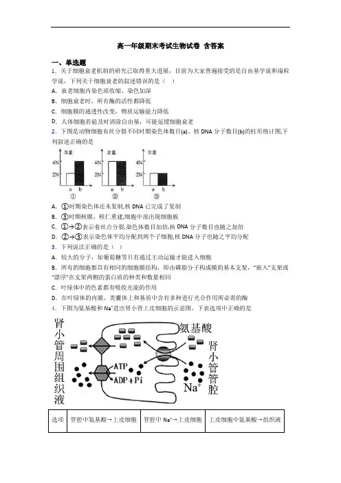 高一年级期末考试生物试卷 含答案