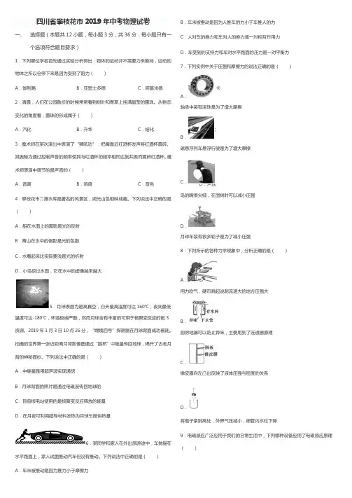 四川省攀枝花市2019年中考物理试卷(含 答案)