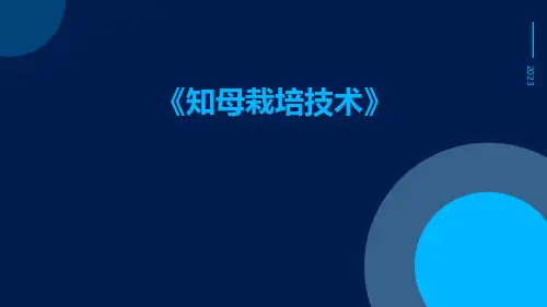 知母栽培技术