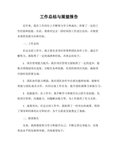 工作总结与展望报告