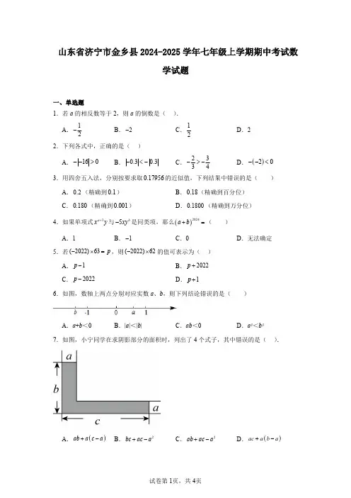 山东省济宁市金乡县2024-2025学年七年级上学期期中考试数学试题