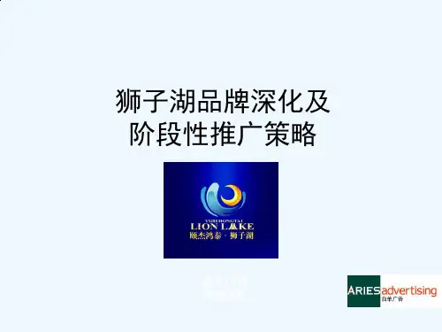品牌深化及阶段性推广策略教材