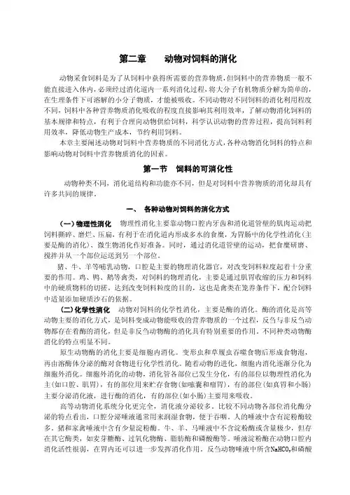 动物消化