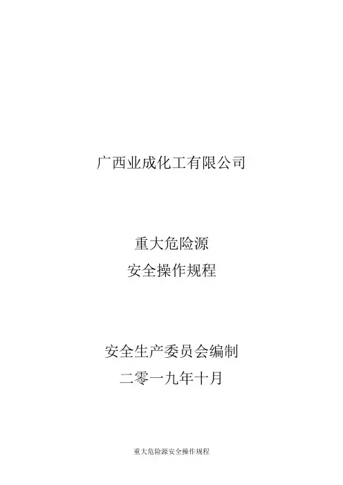 重大危险源安全操作规程