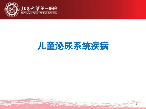 儿童泌尿系统疾病-精品医学课件