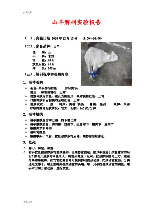 山羊解剖实习报告材料