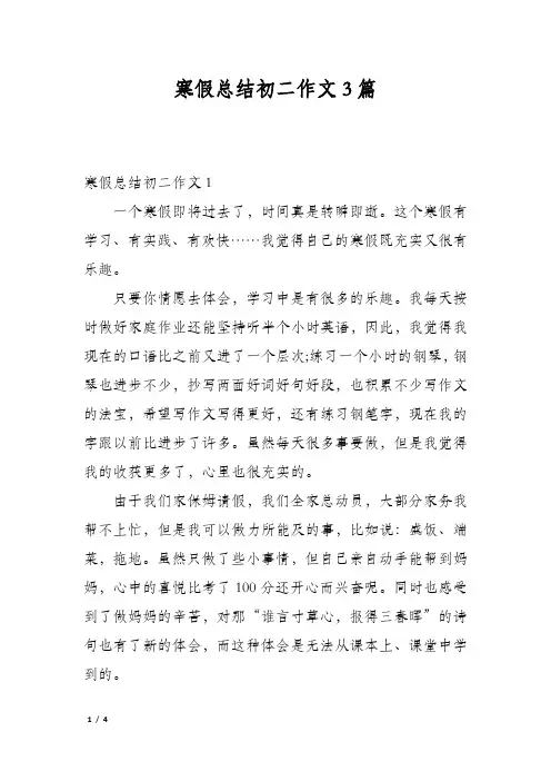 寒假总结初二作文3篇