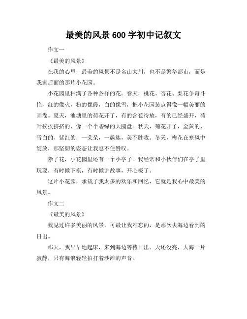 最美的风景600字初中记叙文