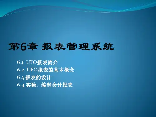 第6章 报表管理系统[7页]