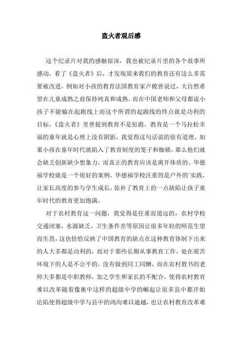 最新整理盗火者观后感