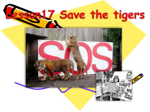 冀教版英语八年级下册 Unit 3 Lesson 17《Save the Tigers》(共35张PPT)