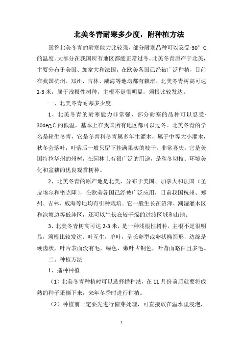 北美冬青耐寒多少度,附种植方法