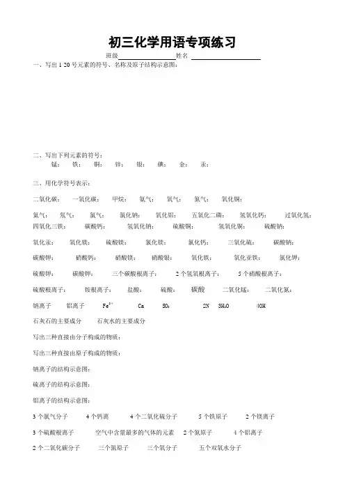 (完整版)初三化学用语专项练习