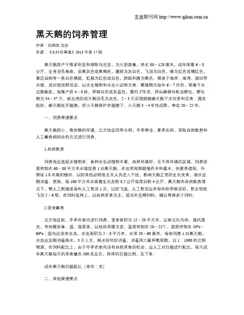 黑天鹅的饲养管理