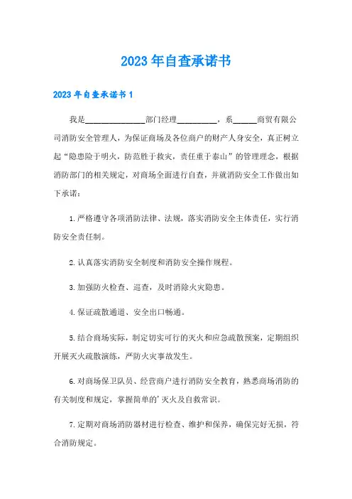 2023年自查承诺书